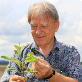 Dr. Arne Fjortøftco